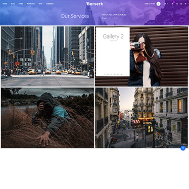 Portfolio galleries